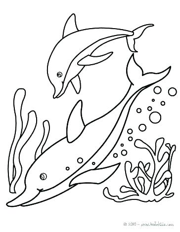 364x470 Free Dolphin Coloring Pages Dolphin Colori S S Jump Free Printable