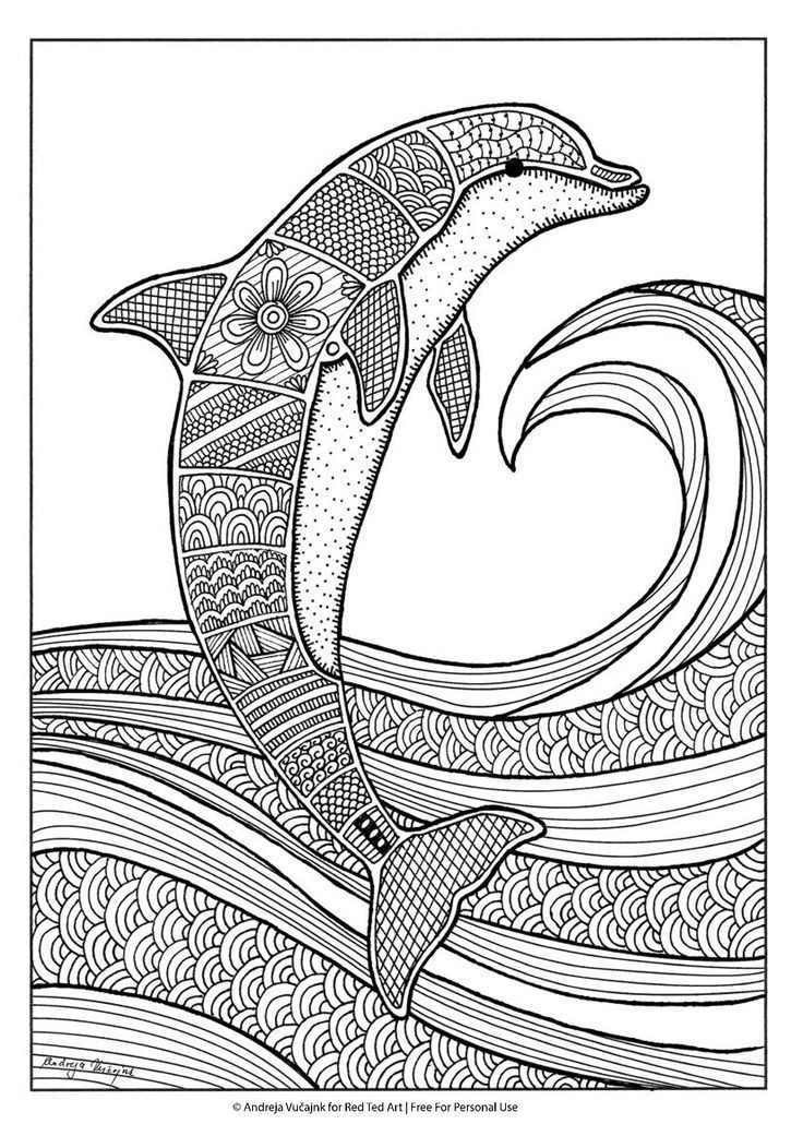 Dolphin Print Out Coloring Pages Unique Dolphins Coloring Pages 736x1041 Dolphin Print Out Coloring Pages Unique Dolphins Coloring Pages