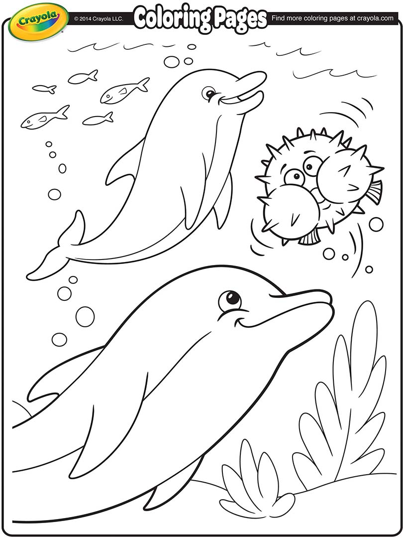 Dolphins Coloring Page 810x1080 Dolphins Coloring Page