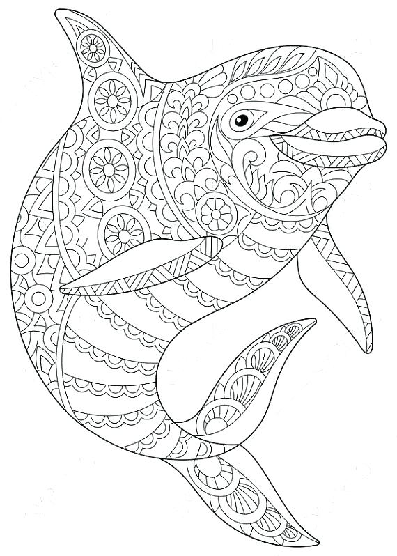 Dolphins Coloring Pages Coloring Pages Dolphins Dolphin Coloring 570x798 Dolphins Coloring Pages Coloring Pages Dolphins Dolphin Coloring