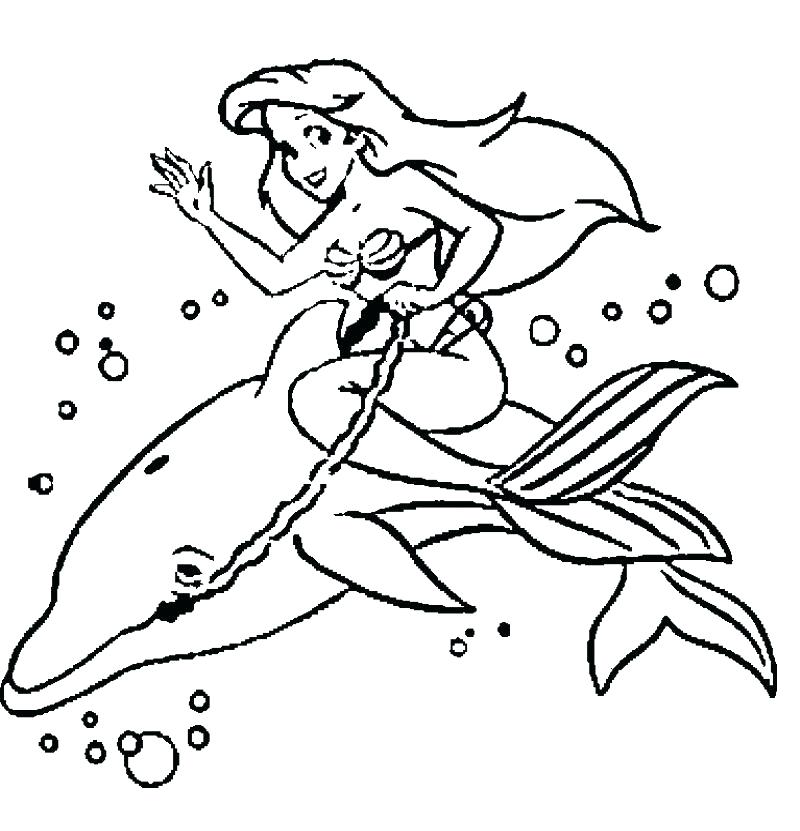 Dolphin Color Page Dolphin Coloring Pages To Print Out And Mermaid 800x831 Dolphin Color Page Dolphin Coloring Pages To Print Out And Mermaid
