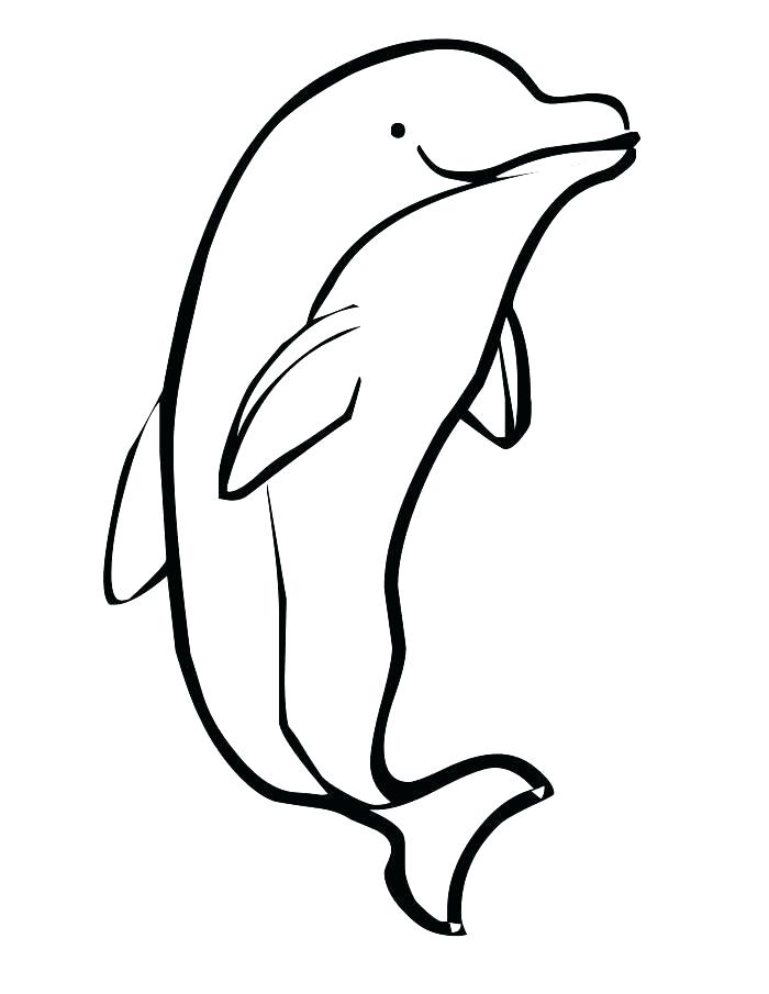 Printable Dolphin Coloring Pages 700x905 Printable Dolphin Coloring Pages