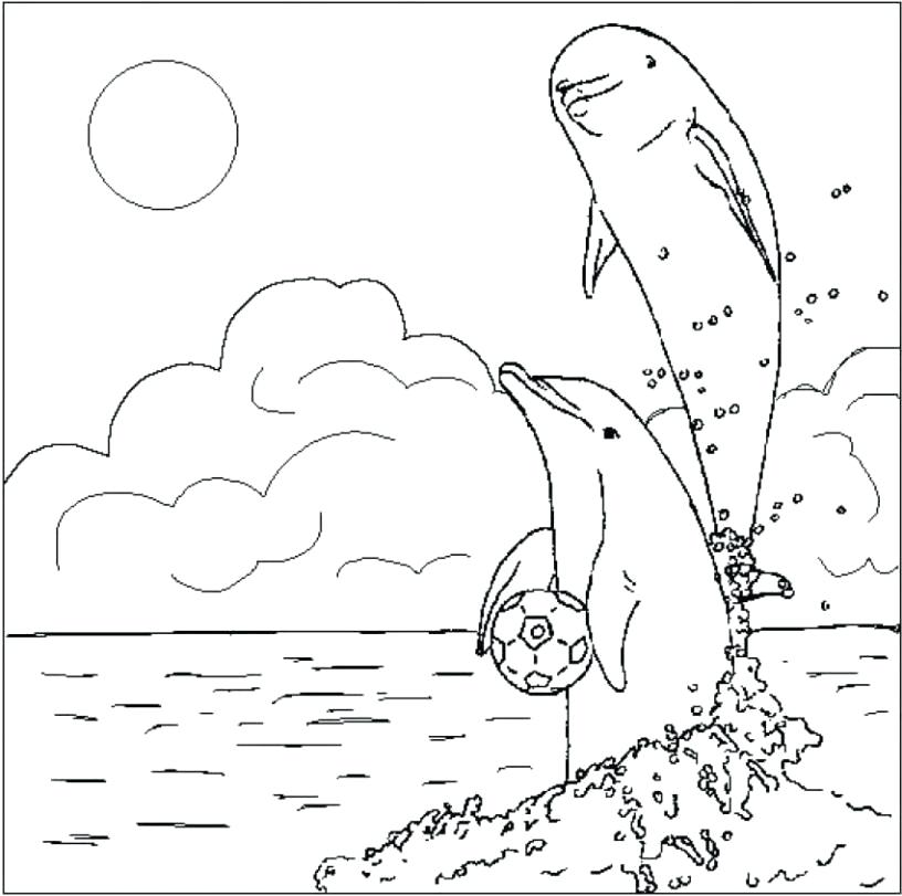 Dolphin Coloring Pages To Print Out Coloring Pictures Of Dolphins 816x811 Dolphin Coloring Pages To Print Out Coloring Pictures Of Dolphins