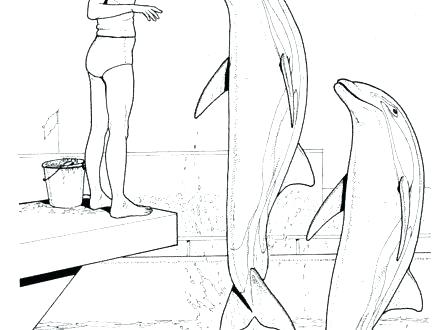 440x330 Dolphin Tale Coloring Pages Dolphin Tale Coloring Pages Free