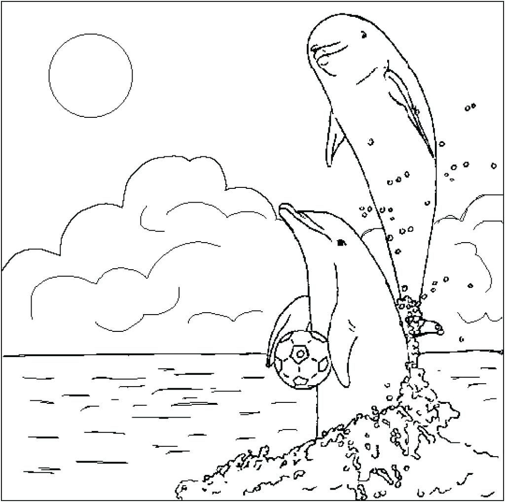 1024x1018 Dolphin Tale Coloring Pages Printable Kids 2