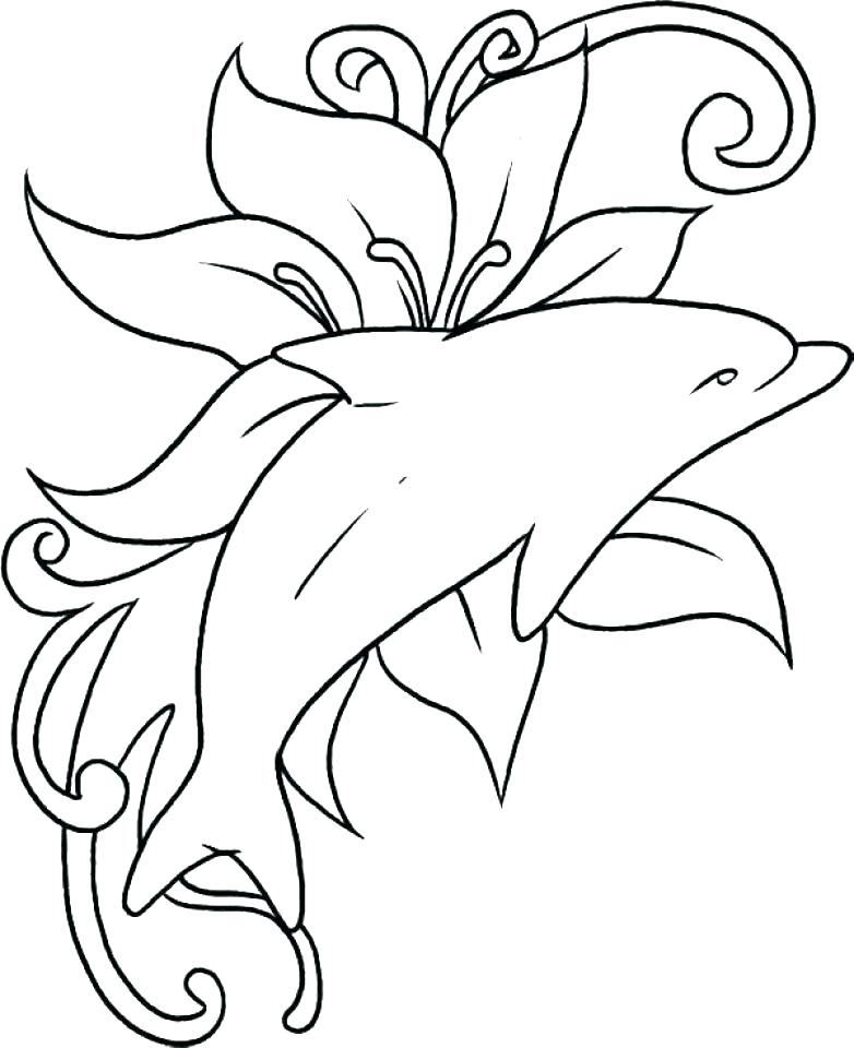 782x960 Dolphin Coloring Sheets