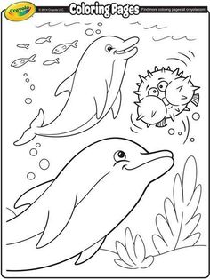 236x314 Dolphin Tale Coloring Pages To Print For Kids Katie's Party