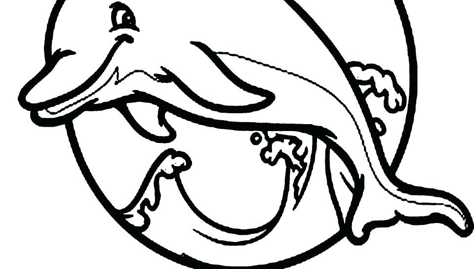 Dolphins Coloring Pages Baby Dolphin Coloring Pages Stock Free 960x544 Dolphins Coloring Pages Baby Dolphin Coloring Pages Stock Free