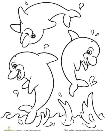 18 Unique Dolphin Coloring Pictures To Print 350x436 18 Unique Dolphin Coloring Pictures To Print