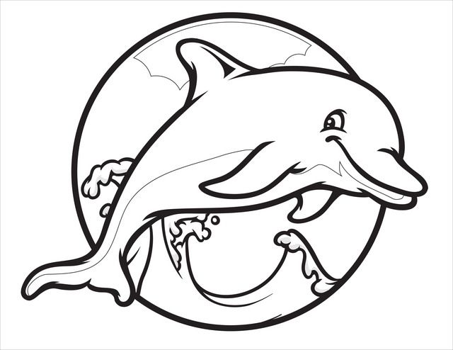 Printable Dolphin Pictures Free Coloring Pages And Dolphins 640x494 Printable Dolphin Pictures Free Coloring Pages And Dolphins