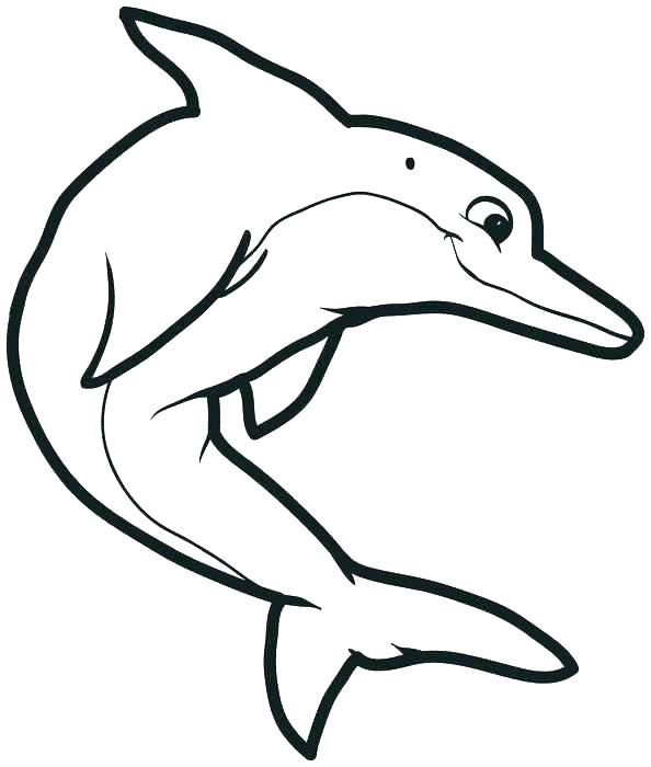 Dolphins Coloring 594x700 Dolphins Coloring