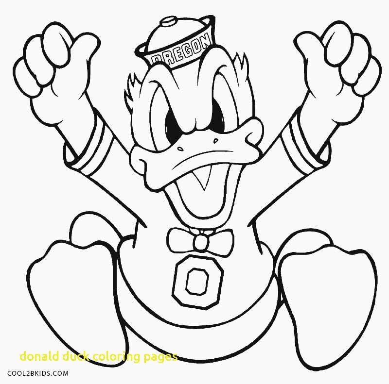 800x791 Donald Duck Coloring Pages