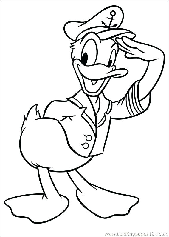 567x794 Donald Duck Coloring Pages Duck Coloring Page Pages To Print