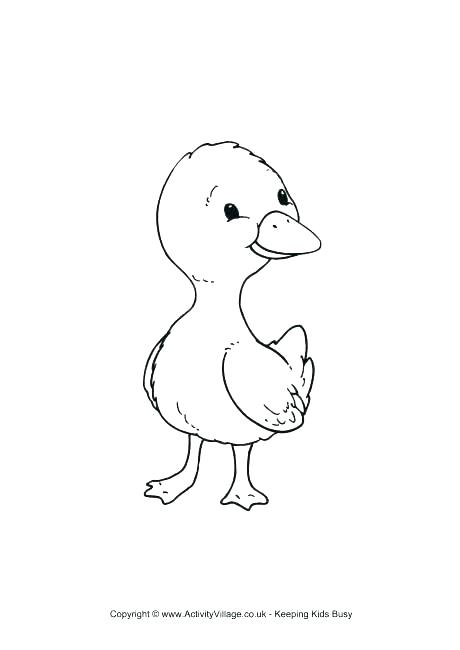 Donald Duck Colouring Pages Baby Duck Coloring Page Cute Duck 460x650 Donald Duck Colouring Pages Baby Duck Coloring Page Cute Duck