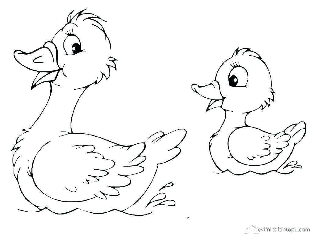 Duck Printable Colouring Pages Coloring To Print Baby At The Duck 1023x767 Duck Printable Colouring Pages Coloring To Print Baby At The Duck