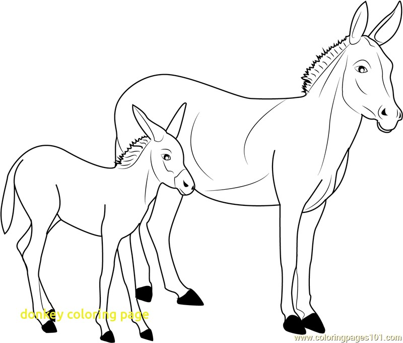 Donkey Coloring Page With Donkey Coloring Page Free Donkey 800x680 Donkey Coloring Page With Donkey Coloring Page Free Donkey