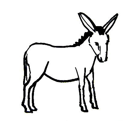 Donkey Coloring Pages 423x403 Donkey Coloring Pages