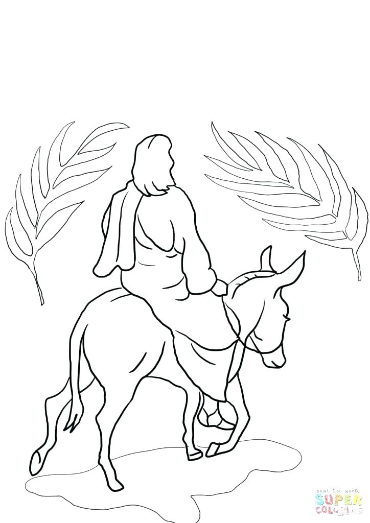 Donkey Coloring Page Also Donkey Coloring Page Donkey Coloring 724x1024 Donkey Coloring Page Also Donkey Coloring Page Donkey Coloring