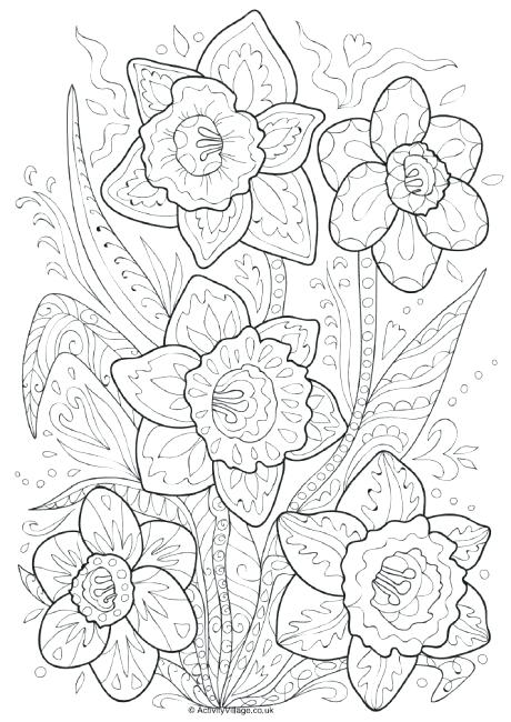 460x650 Daffodil Coloring Page Daffodil Doodle Colouring Page Daffodil