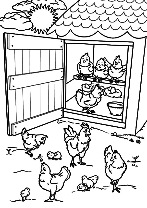 Open Chicken Coop Door Coloring Pages 600x849 Open Chicken Coop Door Coloring Pages