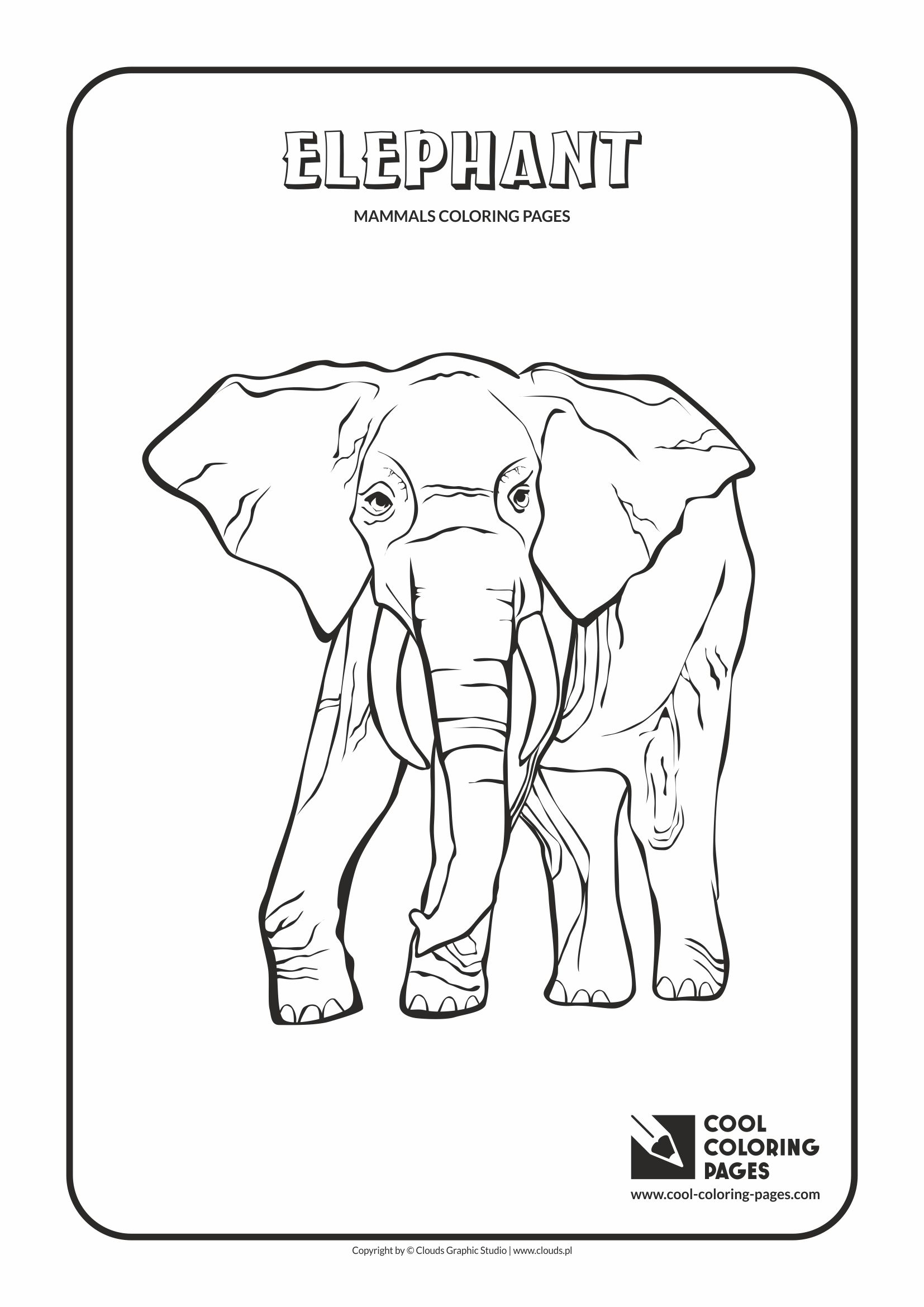 1654x2339 Tuatara Animal Coloring Pages