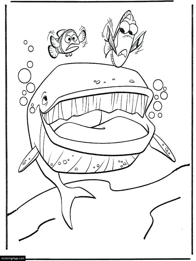 660x880 Finding Nemo Color Pages Dory Finding Coloring Pages Photos