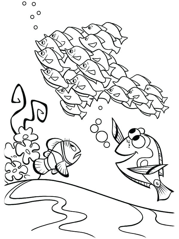 600x800 Nemo And Dory Coloring Pages Dory And Marlin Meet A Bunch Of Fish