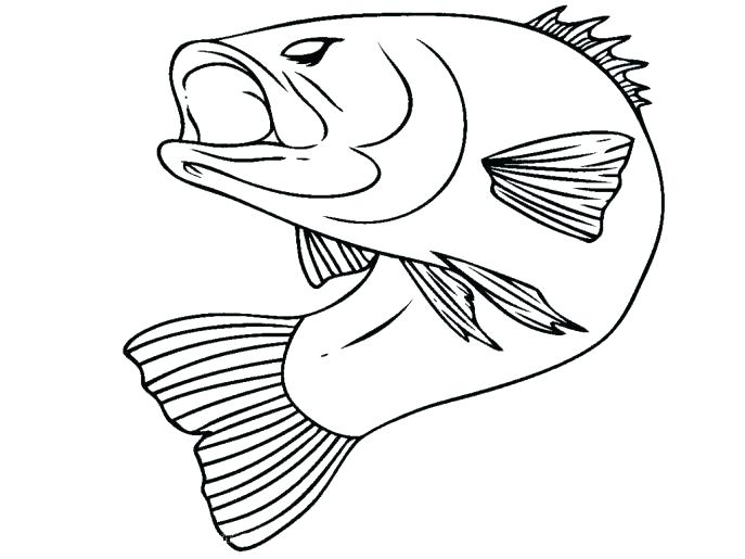 Bass Coloring Pages Fish Coloring Pages Fish Coloring Pages Puffer 687x515 Bass Coloring Pages Fish Coloring Pages Fish Coloring Pages Puffer