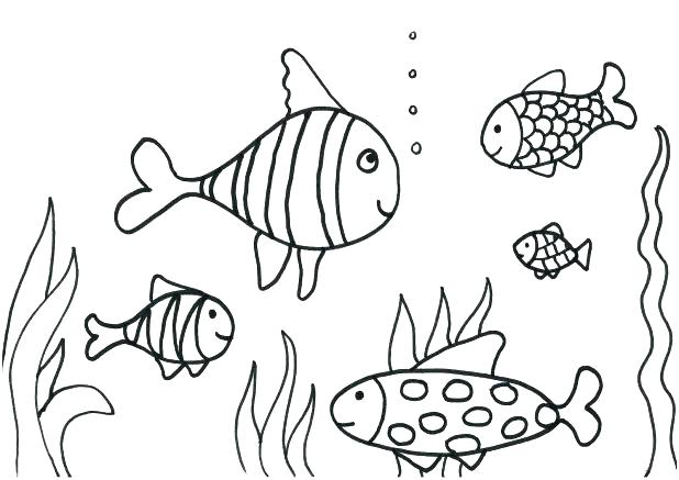 Bass Fish Coloring Pages Remarkable Bass Fish Coloring Pages Image 618x437 Bass Fish Coloring Pages Remarkable Bass Fish Coloring Pages Image