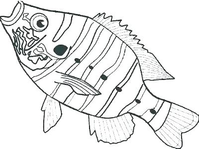 Double Bass Colouring Page Coloring Pages Large Size Of Free Fish 400x300 Double Bass Colouring Page Coloring Pages Large Size Of Free Fish