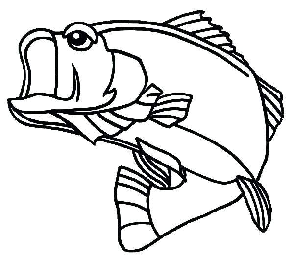 Bass Coloring Pages Bass Coloring Pages Fish Coloring Pages River 600x529 Bass Coloring Pages Bass Coloring Pages Fish Coloring Pages River