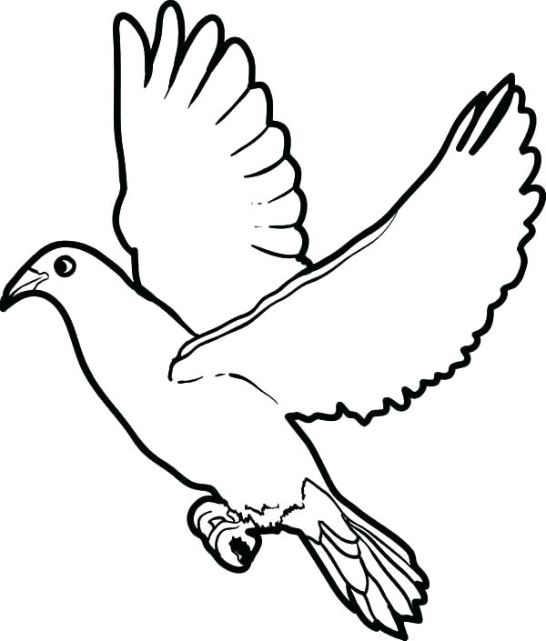 Dove Coloring Page at GetColorings.com | Free printable ...