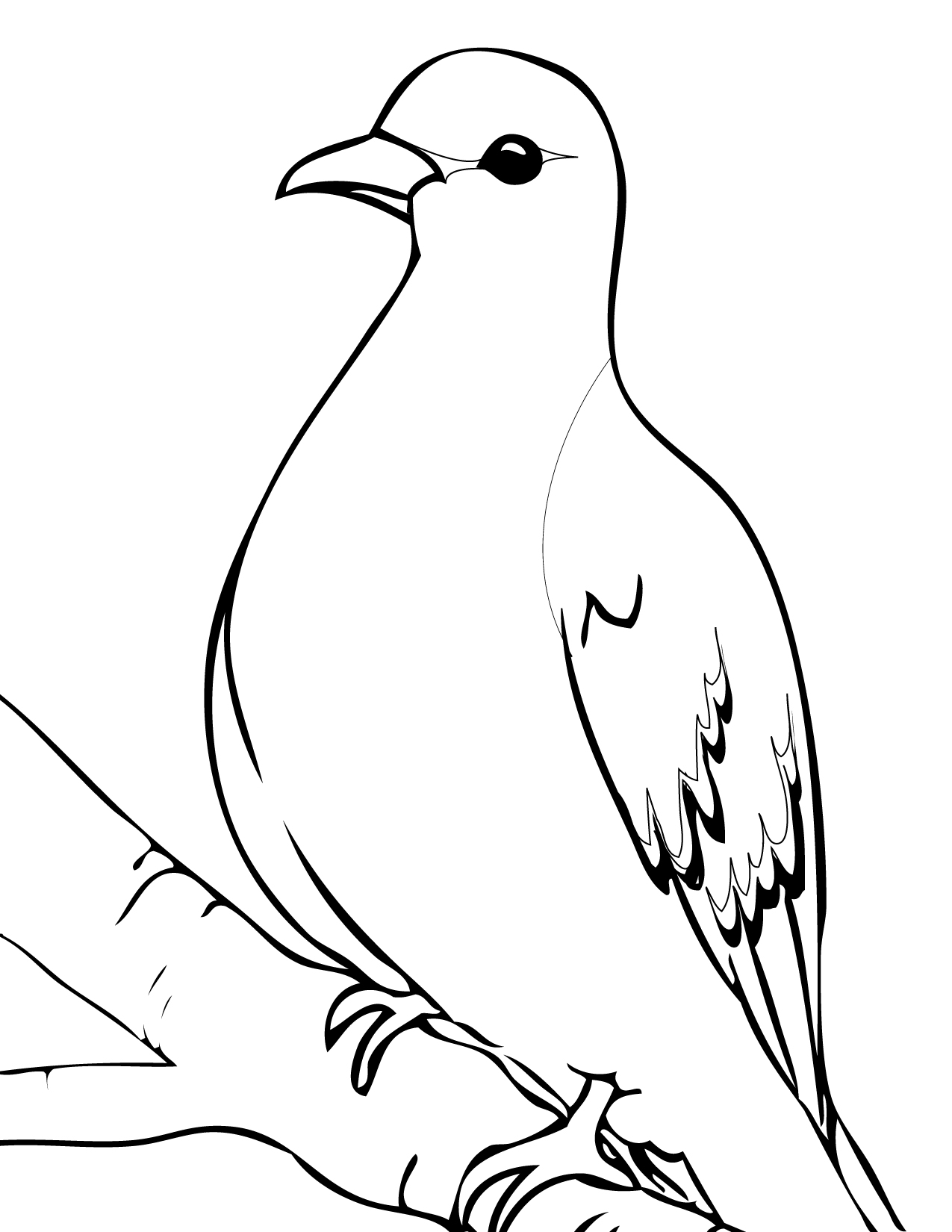 1275x1650 Mourning Dove Coloring Page