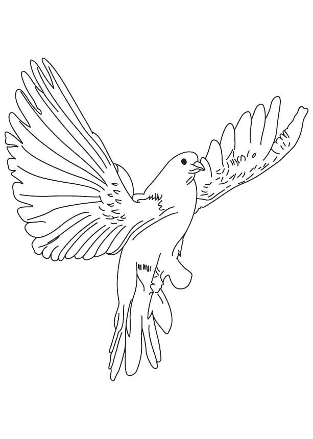 613x860 Dove Coloring Pages Doves Coloring Pages Back To The Coloring