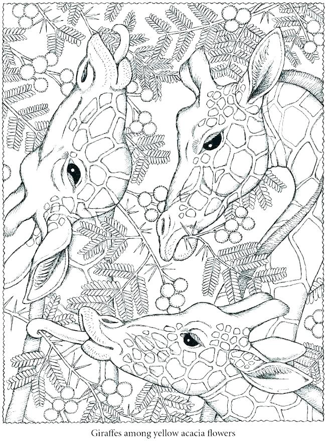 650x879 Downloadable Coloring Pages Downloadable Coloring Pages Info