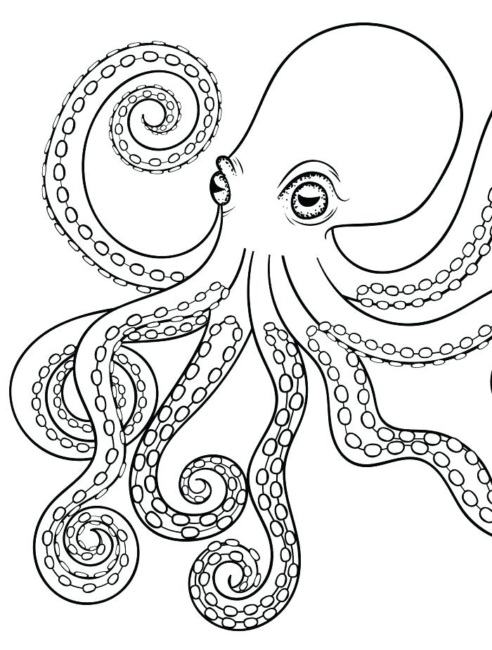 Octopus Coloring Page Colouring Picture Of Octopus Octopus 700x924 Octopus Coloring Page Colouring Picture Of Octopus Octopus