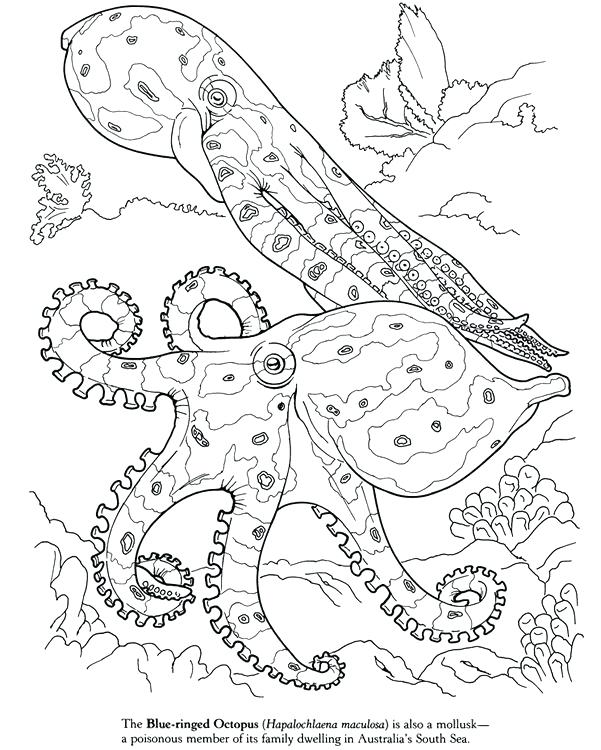 Under The Sea Peaceful And Free Adult Coloring Pages Including 601x750 Under The Sea Peaceful And Free Adult Coloring Pages Including