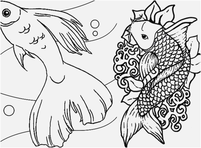Dr Who Coloring Pages Photo Print Amp Download Cute And Educative 827x609 Dr Who Coloring Pages Photo Print Amp Download Cute And Educative