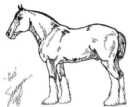 451x360 Gus The Clydesdale To Color, Drawn By Stacey Mayer Kids Coloring