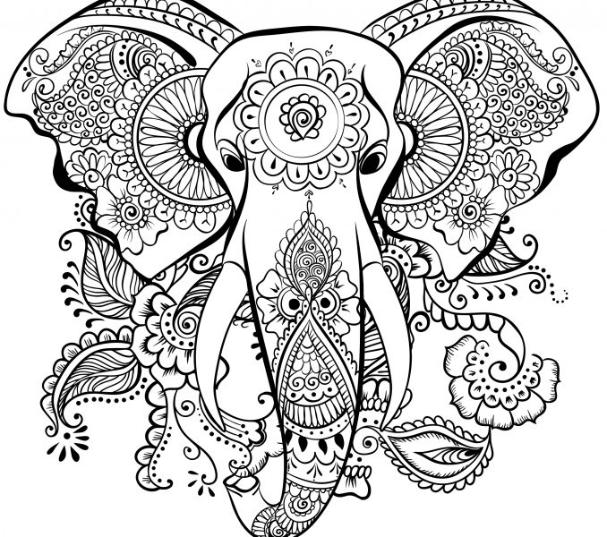 Dragon Coloring Pages Coloring Print Colouring In Beatiful Dragon 678x600 Dragon Coloring Pages Coloring Print Colouring In Beatiful Dragon