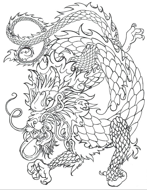 Best Dragon Illustrations Images On Dragons Coloring Pages Adult 619x799 Best Dragon Illustrations Images On Dragons Coloring Pages Adult