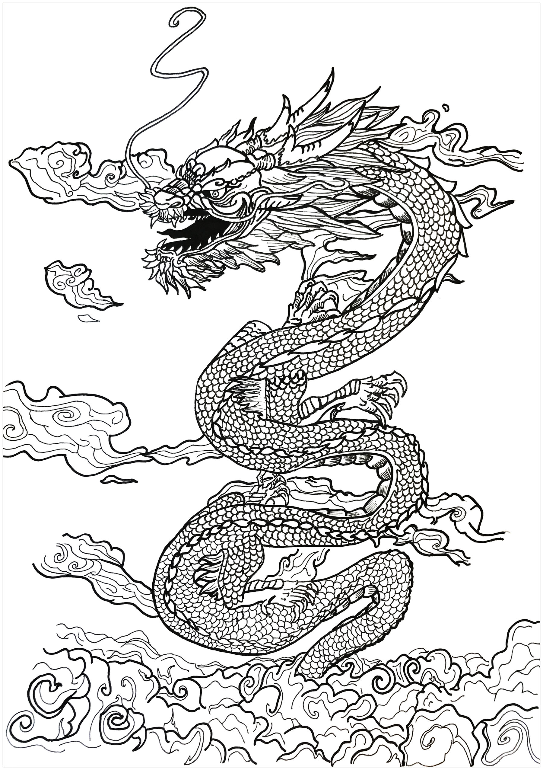 Dragon Asian Inspiration 1800x2551 Dragon Asian Inspiration