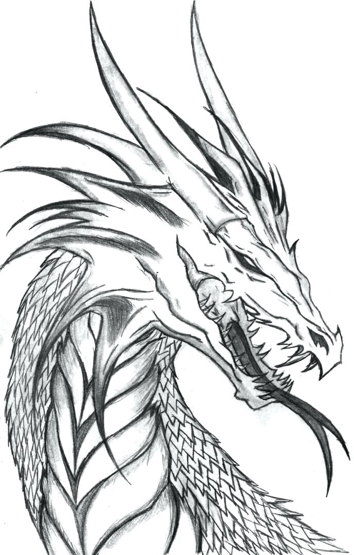 Idea Dragon Art Coloring Pages And Trend Coloring Pages Of Dragons 688x1080 Idea Dragon Art Coloring Pages And Trend Coloring Pages Of Dragons