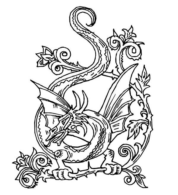Celtic Animal Coloring Pages Celtic Animals Colouring Pages 600x658 Celtic Animal Coloring Pages Celtic Animals Colouring Pages
