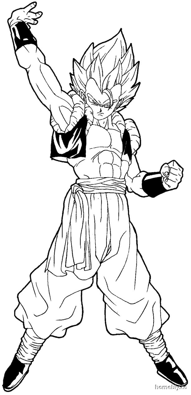 613x1266 Dragon Ball Z Gogeta Coloring Pages