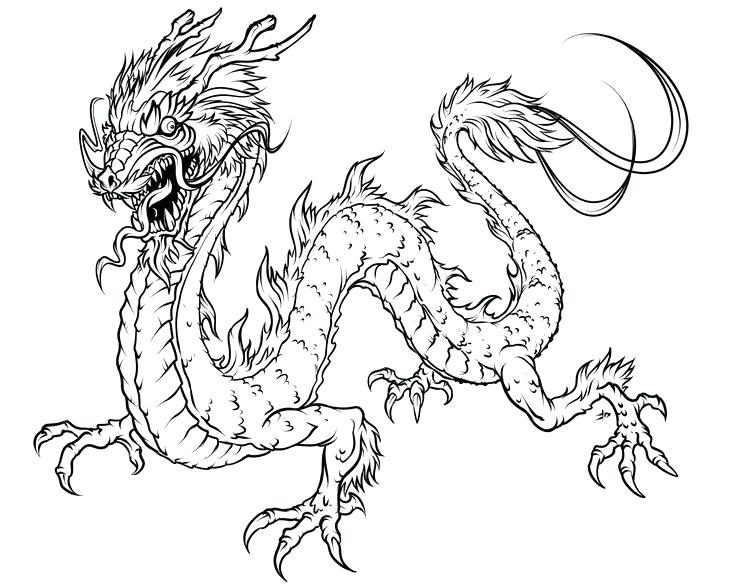 736x588 Printable Dragon Adult Coloring Pages Download Adult Coloring