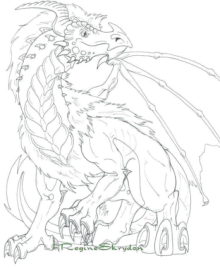 736x899 Dragon Coloring Pages For Adults Amazing Dragon Art Coloring Pages