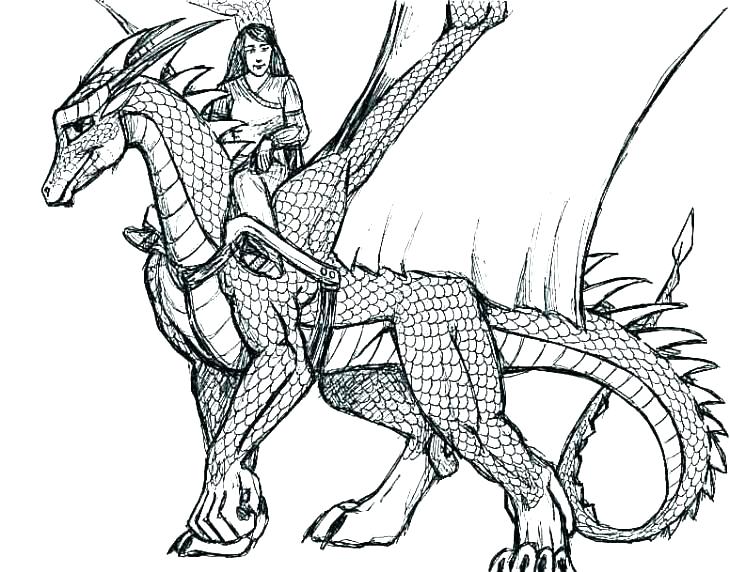 730x572 Dragon Coloring Pages For Adults
