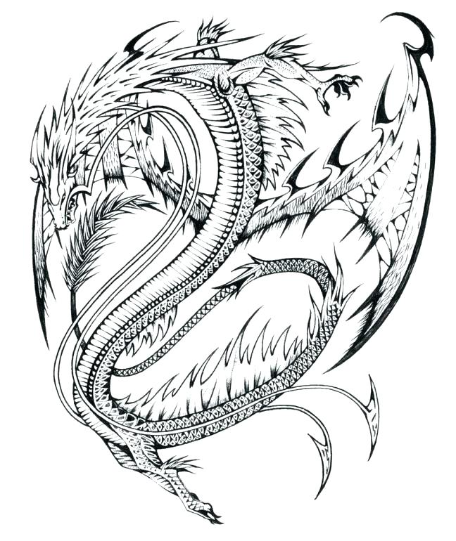 648x770 Luxury Realistic Dragon Coloring Pages And Printable Dragon