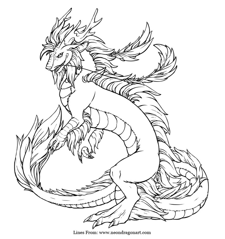 736x780 Realistic Dragon Coloring Pages For Adults